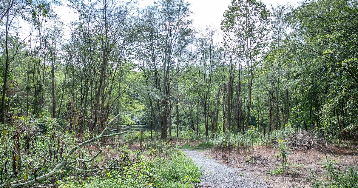 Environmental Studies + MBA Accelerated Dual Degree Juniata College