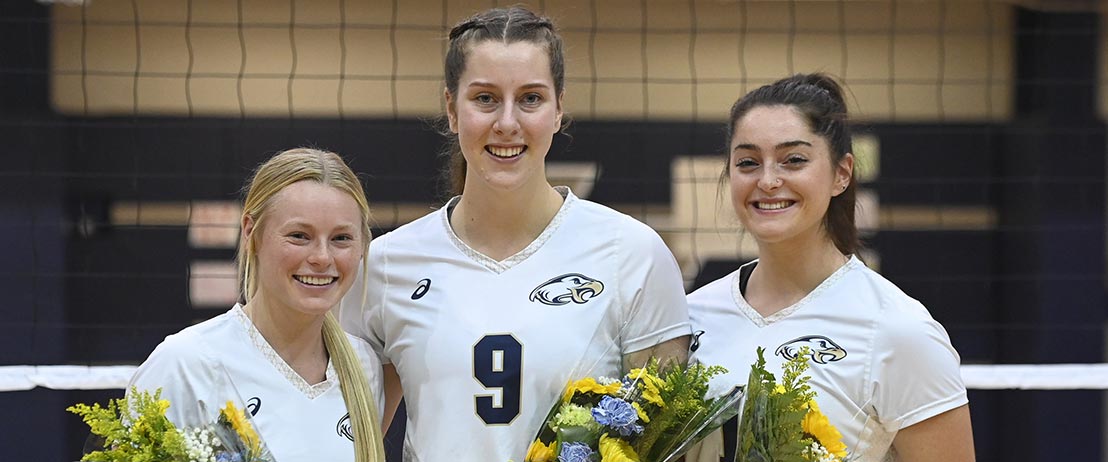 women's volleyball photo